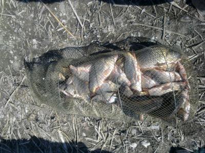 Прикрепленное изображение: z_afb4e67b.jpg